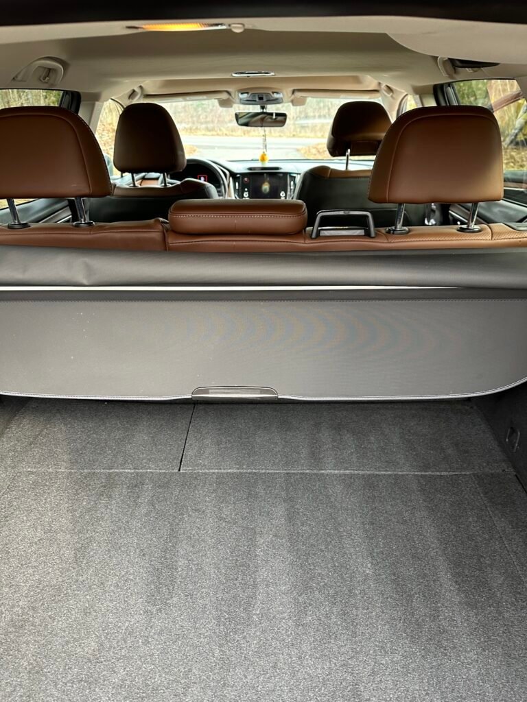 interior detail with carpet shampoo mobile detailing in ct